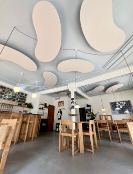  RE-DECKEN Akustik und Montage