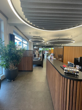  RE-DECKEN Akustik und Montage