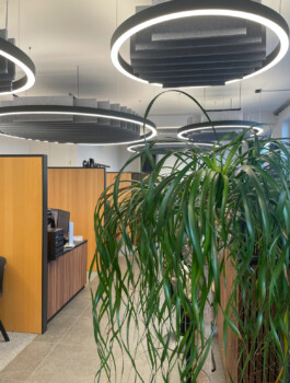  RE-DECKEN Akustik und Montage